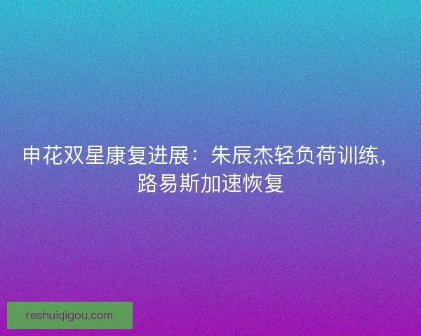 申花双星康复进展：朱辰杰轻负荷训练，路易斯加速恢复
