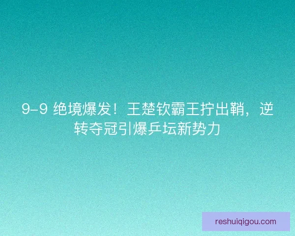 9-9 绝境爆发！王楚钦霸王拧出鞘，逆转夺冠引爆乒坛新势力